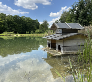 Feuchtbiotop mit Entenhaus